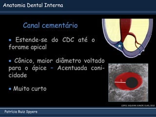 Patrícia Ruiz Spyere
Anatomia Dental Interna
Canal cementário
LOPES; SIQUEIRA JUNIOR; ELIAS, 2010
*
 Estende-se do CDC até o
forame apical
 Cônico, maior diâmetro voltado
para o ápice – Acentuada coni-
cidade
 Muito curto
 