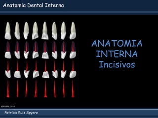 Patrícia Ruiz Spyere
Anatomia Dental Interna
ANATOMIA
INTERNA
Incisivos
VERSIANI, 2014
 