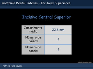 Patrícia Ruiz Spyere
SOARES; GOLDBERG, 2002
Anatomia Dental Interna – Incisivos Superiores
Comprimento
médio
Número de
raízes
Número de
canais
22,6 mm
1
1
Incisivo Central Superior
 
