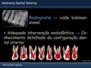 Patrícia Ruiz Spyere
Anatomia Dental Interna
 Adequada intervenção endodôntica  Co-
nhecimento detalhado da configuração den-
tal interna
Radiografia  visão bidimen-
sional
VERSIANI, 2014
 