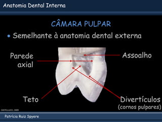 Patrícia Ruiz Spyere
Anatomia Dental Interna
Teto
 Semelhante à anatomia dental externa
Parede
axial
Divertículos
CÂMARA PULPAR
Assoalho
(cornos pulpares)
CASTELLUCCI, 2009
 