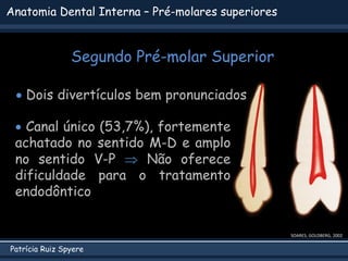 Patrícia Ruiz Spyere
Anatomia Dental Interna – Pré-molares superiores
Segundo Pré-molar Superior
 Canal único (53,7%), fortemente
achatado no sentido M-D e amplo
no sentido V-P  Não oferece
dificuldade para o tratamento
endodôntico
SOARES; GOLDBERG, 2002
 Dois divertículos bem pronunciados
 