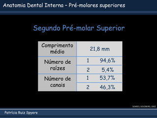 Patrícia Ruiz Spyere
Anatomia Dental Interna – Pré-molares superiores
SOARES; GOLDBERG, 2002
Comprimento
médio
Número de
r...