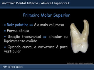 Patrícia Ruiz Spyere
Anatomia Dental Interna – Molares superiores
Primeiro Molar Superior
CASTELLUCCI, 2009; ; SOARES; GOL...