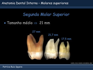 Patrícia Ruiz Spyere
Anatomia Dental Interna – Molares superiores
Segundo Molar Superior
LEMOS, 2014; SOARES; GOLDBERG, 20...