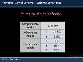 Patrícia Ruiz Spyere
Anatomia Dental Interna – Molares Inferiores
SOARES; GOLDBERG, 2002
Comprimento
médio
Número de
raíze...