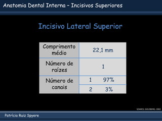 Patrícia Ruiz Spyere
Anatomia Dental Interna – Incisivos Superiores
SOARES; GOLDBERG, 2002
Comprimento
médio
Número de
raí...