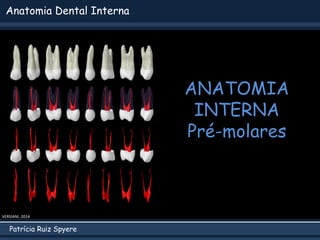 Patrícia Ruiz Spyere
Anatomia Dental Interna
ANATOMIA
INTERNA
Pré-molares
VERSIANI, 2014
 