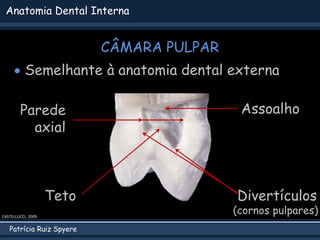 Patrícia Ruiz Spyere
Anatomia Dental Interna
Teto
 Semelhante à anatomia dental externa
Parede
axial
Divertículos
CÂMARA ...