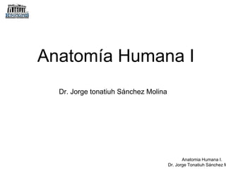 Anatomía Humana I 
Anatomia Humana I. 
Dr. Jorge Tonatiuh Sánchez Molina 
Dr. Jorge tonatiuh Sánchez Molina 
 