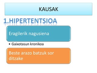 KAUSAK
Eragilerik nagusiena
• Gaixotasun kronikoa
Beste arazo batzuk sor
ditzake
 