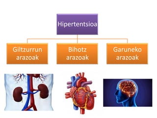 Hipertentsioa
Giltzurrun
arazoak
Bihotz
arazoak
Garuneko
arazoak
 
