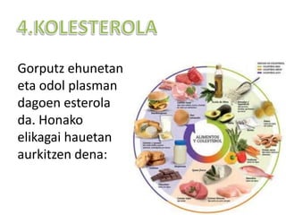 Gorputz ehunetan
eta odol plasman
dagoen esterola
da. Honako
elikagai hauetan
aurkitzen dena:
 