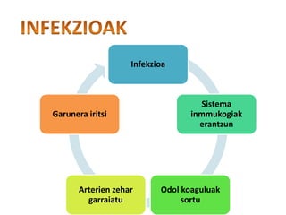 Infekzioa
Sistema
inmmukogiak
erantzun
Odol koaguluak
sortu
Arterien zehar
garraiatu
Garunera iritsi
 