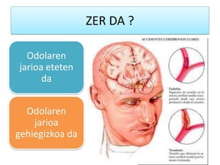 ZER DA ?
Odolaren
jarioa eteten
da
Odolaren
jarioa
gehiegizkoa da
 