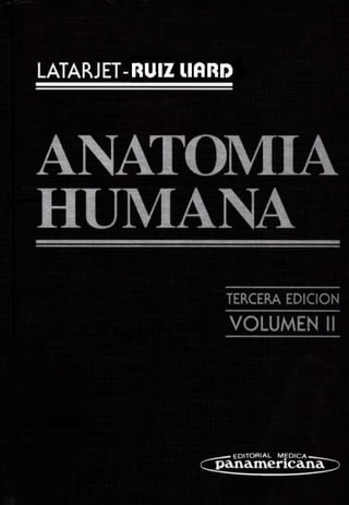 Anatomia Latarjet Ruiz Liard T2.pdf