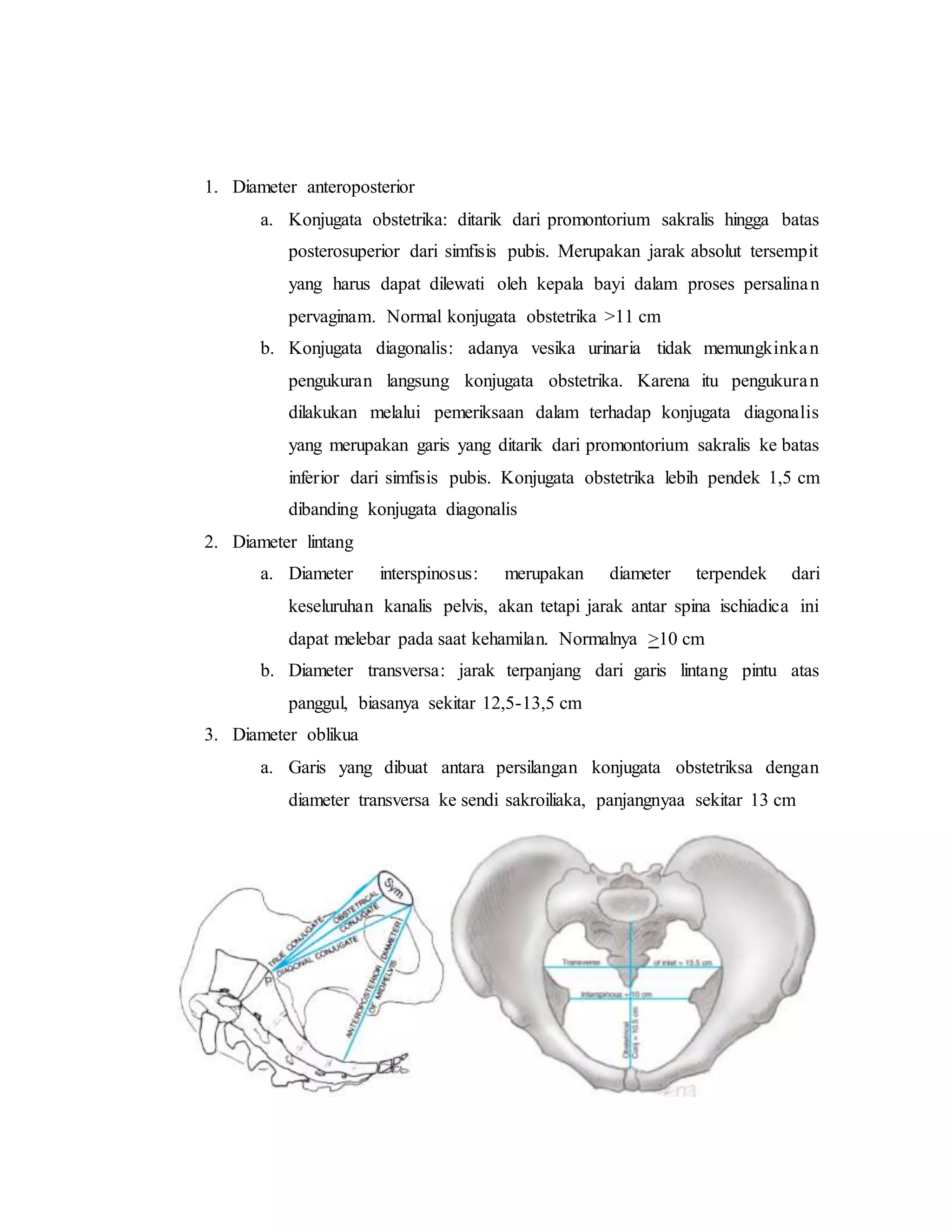 referat obgyn Anatomi alat reproduksi dan embriologi (pembimbing : dr ...