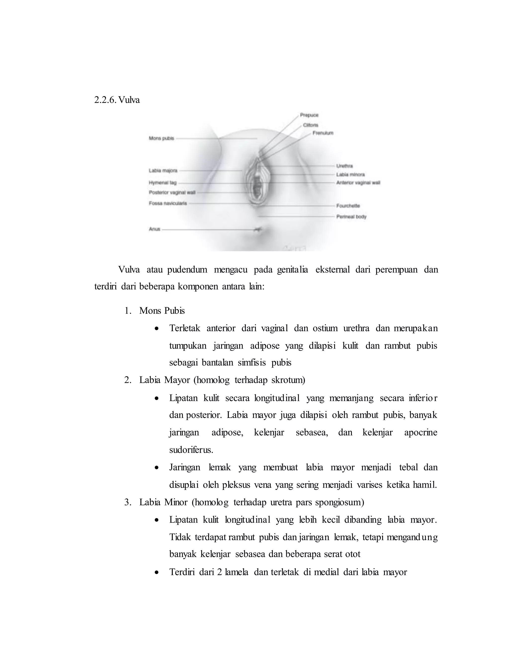 referat obgyn Anatomi alat reproduksi dan embriologi (pembimbing : dr ...