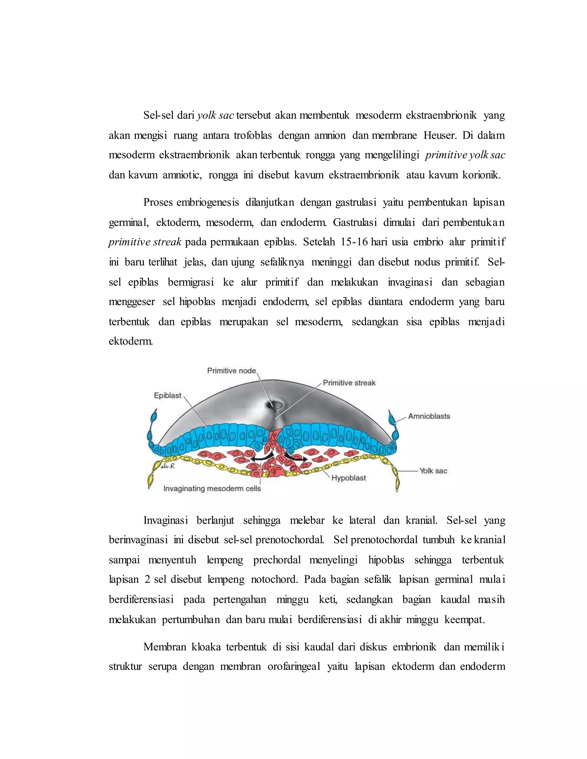 referat obgyn Anatomi alat reproduksi dan embriologi (pembimbing : dr ...
