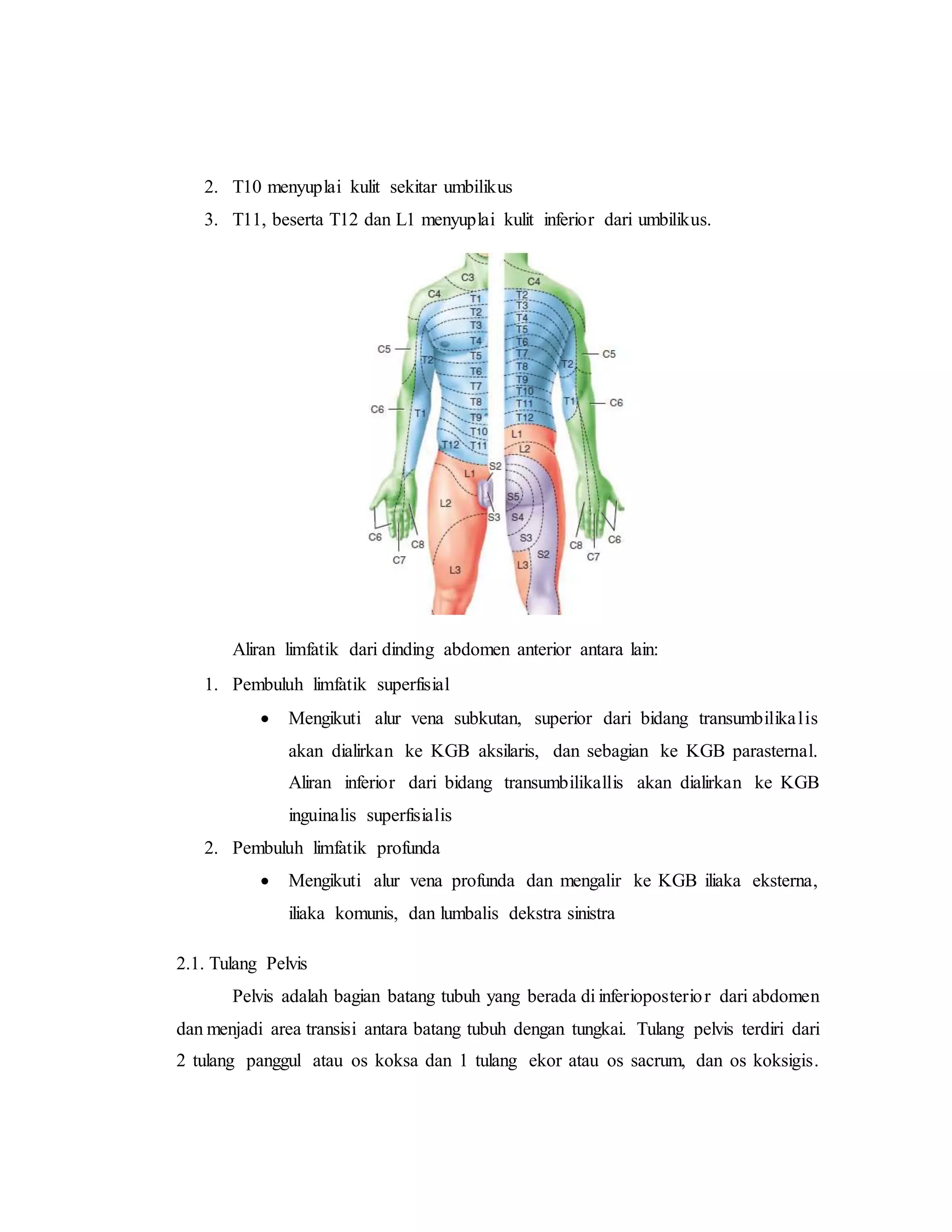 referat obgyn Anatomi alat reproduksi dan embriologi (pembimbing : dr ...