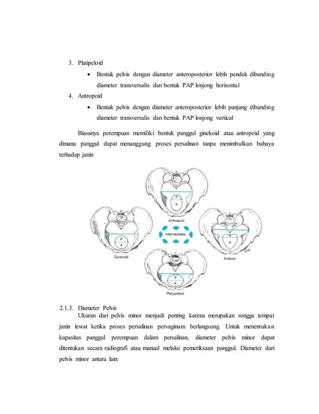 referat obgyn Anatomi alat reproduksi dan embriologi (pembimbing : dr ...