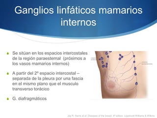 Ganglios linfáticos mamarios
internos
S Se sitúan en los espacios intercostales
de la región paraesternal (próximos a
los ...