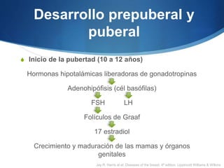 Desarrollo prepuberal y
puberal
S Inicio de la pubertad (10 a 12 años)
Hormonas hipotalámicas liberadoras de gonadotropinas
Adenohipófisis (cél basófilas)
FSH LH
Folículos de Graaf
17 estradiol
Crecimiento y maduración de las mamas y órganos
genitales
Jay R. Harris at el. Diseases of the breast, 4ª edition, Lippincott Williams & Wilkins
 
