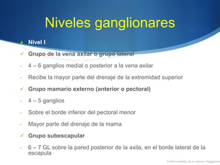 Niveles ganglionares
S Nivel I
 Grupo de la vena axilar o grupo lateral
- 4 – 6 ganglios medial o posterior a la vena axilar
- Recibe la mayor parte del drenaje de la extremidad superior
 Grupo mamario externo (anterior o pectoral)
- 4 – 5 ganglios
- Sobre el borde inferior del pectoral menor
- Mayor parte del drenaje de la mama
 Grupo subescapular
- 6 – 7 GL sobre la pared posterior de la axila, en el borde lateral de la
escapula
Enfermedades de la mama, Haggensen
 