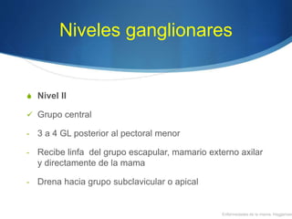 Niveles ganglionares
S Nivel II
 Grupo central
- 3 a 4 GL posterior al pectoral menor
- Recibe linfa del grupo escapular, mamario externo axilar
y directamente de la mama
- Drena hacia grupo subclavicular o apical
Enfermedades de la mama, Haggensen
 