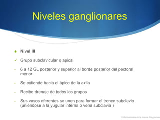 Niveles ganglionares
S Nivel III
 Grupo subclavicular o apical
- 6 a 12 GL posterior y superior al borde posterior del pectoral
menor
- Se extiende hacia el ápice de la axila
- Recibe drenaje de todos los grupos
- Sus vasos eferentes se unen para formar el tronco subclavio
(uniéndose a la yugular interna o vena subclavia )
Enfermedades de la mama, Haggensen
 