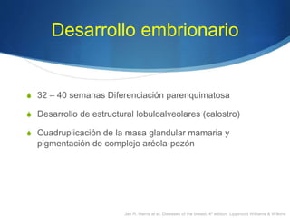 Desarrollo embrionario
S 32 – 40 semanas Diferenciación parenquimatosa
S Desarrollo de estructural lobuloalveolares (calostro)
S Cuadruplicación de la masa glandular mamaria y
pigmentación de complejo aréola-pezón
Jay R. Harris at el. Diseases of the breast, 4ª edition, Lippincott Williams & Wilkins
 