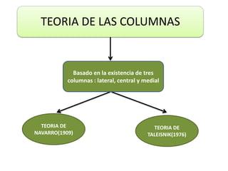 TEORIA DE LAS COLUMNAS
TEORIA DE
NAVARRO(1909)
TEORIA DE
TALEISNIK(1976)
Basado en la existencia de tres
columnas : lateral, central y medial
 