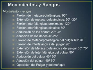 Movimiento y rangos
◙ Flexión de metacarpofalángicas: 90º
◙ Extensión de metacarpofalángicas: 20º -30º
◙ Flexión Interfalángicas proximales:120º
◙ Flexión Interfalángicas distales; 80º
◙ Abducción de los dedos: 20º-25º
◙ Aducción de los dedos20º-25º
◙ Flexión de Metacarpofalángica del pulgar 60º 70º
◙ Flexión de Interfalángica del pulgar 90º
◙ Extensión de Metacarpofalángica del pulgar 60º 70º
◙ Extensión de Interfalángica del pulgar 90º
◙ Abducción del pulgar 40º 50º
◙ Aducción del pulgar: 40º 50º
◙ Oposición del Pulgar y del meñique
 
