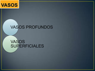 VASOS PROFUNDOS
VASOS
SUPERFICIALES
 