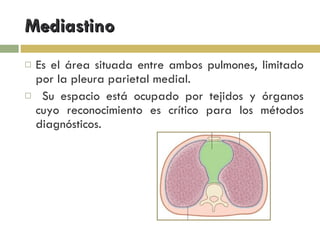 Mediastino Es el área situada entre ambos pulmones, limitado por la pleura parietal medial. Su espacio está ocupado por tejidos y órganos cuyo reconocimiento es crítico para los métodos diagnósticos. 