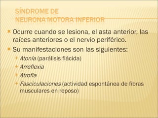 Ocurre cuando se lesiona, el asta anterior, las raíces anteriores o el nervio periférico. Su manifestaciones son las siguientes: Atonía  (parálisis flácida) Arreflexia   Atrofia Fasciculaciones  (actividad espontánea de fibras musculares en reposo) 