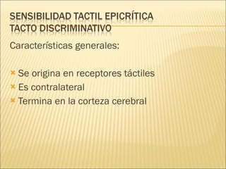 Características generales: Se origina en receptores táctiles Es contralateral  Termina en la corteza cerebral  