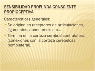 Características generales: Se origina en receptores de articulaciones, ligamentos, aponeurosis etc...  Termina en la corteza cerebral contralateral, (conexiones con la corteza cerebelosa homolateral). 