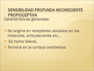 Características generales: Se origina en receptores ubicados en los músculos, articulaciones etc... Es homo lateral. Termina en la corteza cerebelosa 