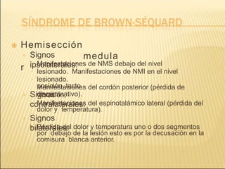  Hemisección
medula
r
› Signos
ipsolaterales:



Manifestaciones de NMS debajo del nivel
lesionado. Manifestaciones de NMI en el nivel
lesionado.
Manifestaciones del cordón posterior (pérdida de
vibración,
posición, tacto
discriminativo).
› Signos
contralaterales:
 Manifestaciones del espinotalámico lateral (pérdida del
dolor y temperatura).
› Signos
bilaterales:
 Pérdida del dolor y temperatura uno o dos segmentos
por debajo de la lesión esto es por la decusación en la
comisura blanca anterior.
 