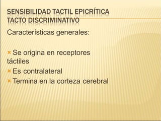 Características generales:
 Se origina en receptores
táctiles
 Es contralateral
 Termina en la corteza cerebral
 
