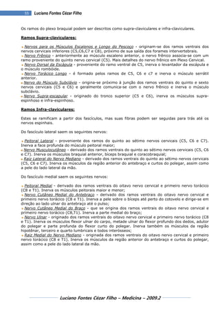Luciano Fontes Cézar Filho – Medicina – 2009.2
55 Luciano Fontes Cézar Filho
Os ramos do plexo braquial podem ser descrito...