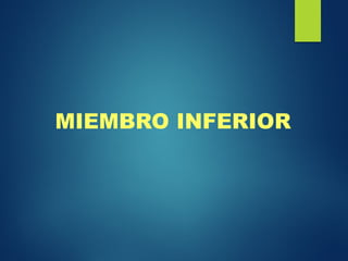 MIEMBRO INFERIOR
 
