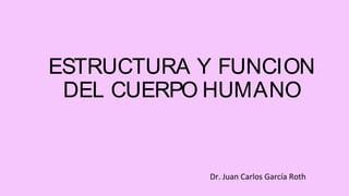ESTRUCTURA Y FUNCION
DEL CUERPO HUMANO
Dr. Juan Carlos García Roth
 