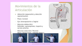 ARTICULACIONES DEL MIEMBRO SUPERIOR
 