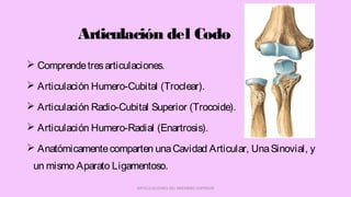 Articulación del Codo
 Comprendetresarticulaciones.
 Articulación Humero-Cubital (Troclear).
 Articulación Radio-Cubital Superior (Trocoide).
 Articulación Humero-Radial (Enartrosis).
 Anatómicamentecomparten unaCavidad Articular, UnaSinovial, y
un mismo Aparato Ligamentoso.
ARTICULACIONES DEL MIEMBRO SUPERIOR
 