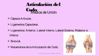 Articulación del
Codo
 CápsulaArticular.
 LigamentosCapsulares.
 Ligamentos: Anterior, Lateral Interno, Lateral Externo, Posterior e
Inferior.
 Sinovial.
 MecanismosdelaArticulación del Codo.
ARTICULACIONES DEL MIEMBRO SUPERIOR
MediosdeUnión
 