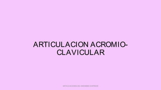ARTICULACION ACROMIO-
CLAVICULAR
ARTICULACIONES DEL MIEMBRO SUPERIOR
 