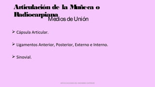 Articulación de la Muñeca o
Radiocarpiana
 Cápsula Articular.
 Ligamentos Anterior, Posterior, Externo e Interno.
 Sinovial.
ARTICULACIONES DEL MIEMBRO SUPERIOR
MediosdeUnión
 