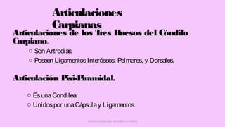 Articulaciones
Carpianas
o Son Artrodias.
o Poseen LigamentosInteróseos, Palmares, y Dorsales.
ARTICULACIONES DEL MIEMBRO SUPERIOR
Articulaciones de los Tres Huesos del Cóndilo
Carpiano.
Articulación Pisi-Piramidal.
o EsunaCondilea.
o Unidospor unaCápsulay Ligamentos.
 